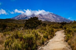 5 Day - Kilimanjaro via Marangu route